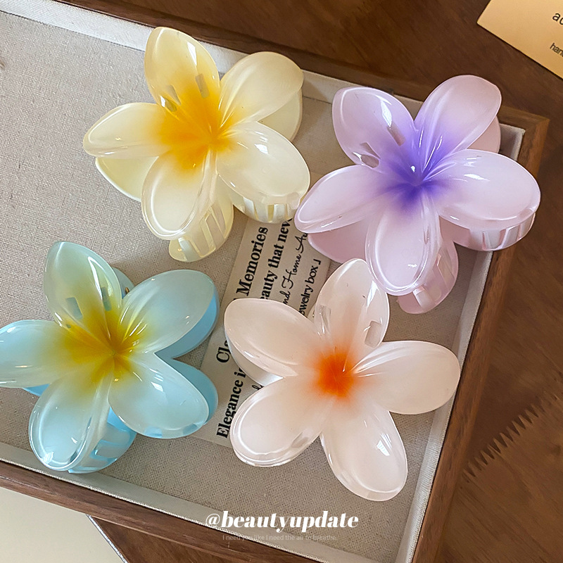 คริสตัลดอกไม้อะคริลิคผม Claw ค - Travel Accessories Hong Kong บทวิจารณ์และราคา