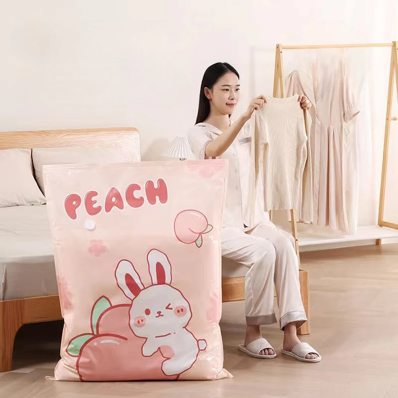 1/4 PCS Travel Moving การบีบอั - Compression Bag Vacuum บทวิจารณ์และราคา